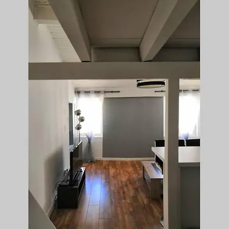 Apartamento Hypercentre ! De Charme Avec Mezzanine